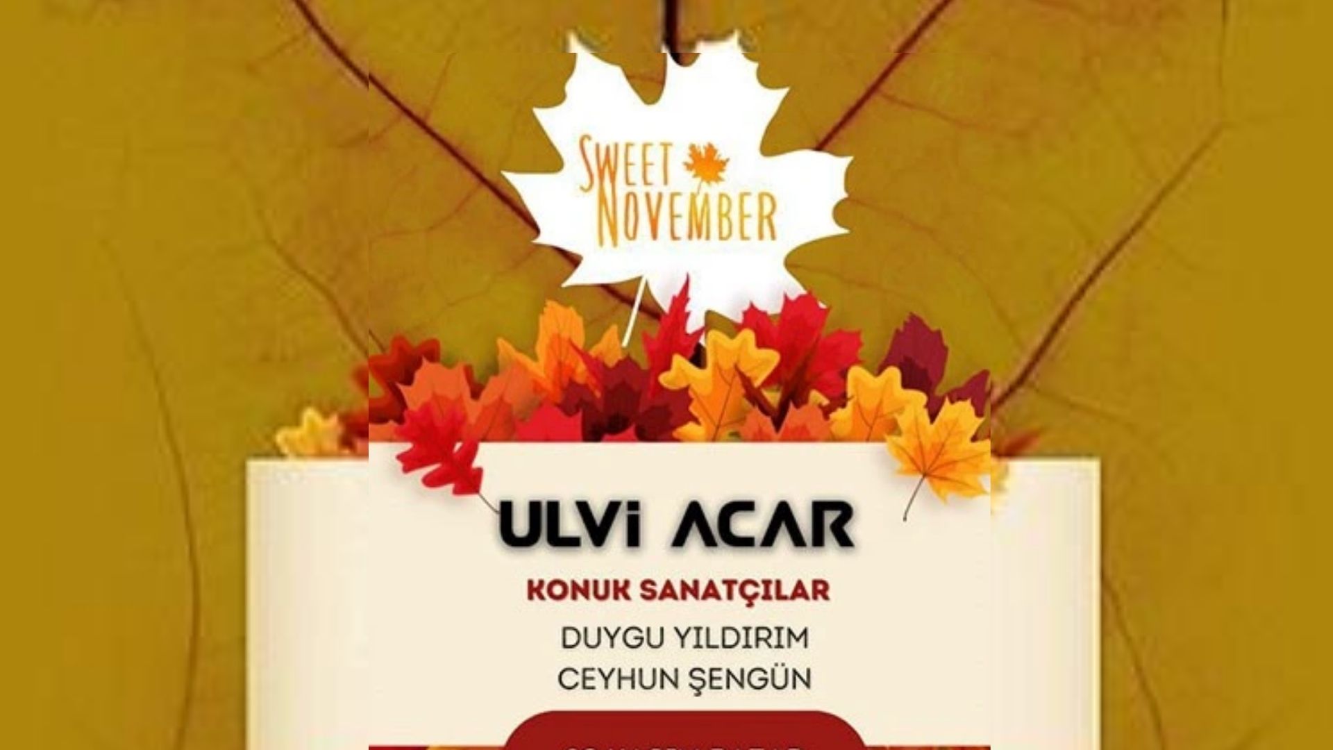 sweet november dj ulvi acar istanbul'da konser ve tiyatro oyunları