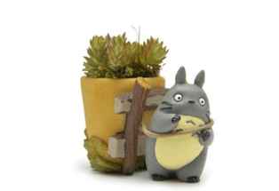Totoro Saksı